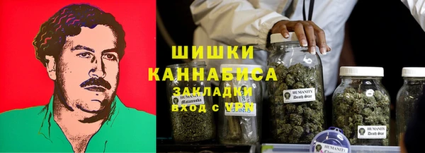 дмт Богородицк