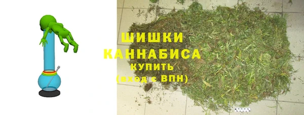 дмт Богородицк