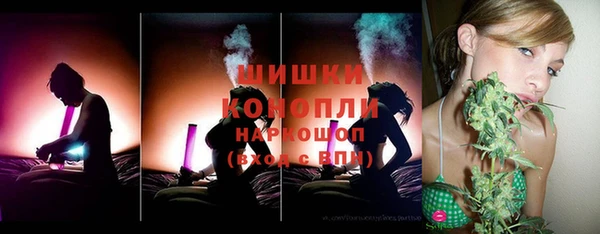 дмт Богданович