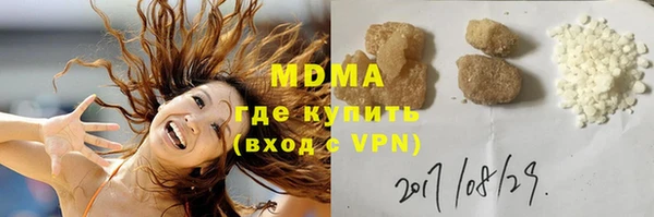 дмт Богданович