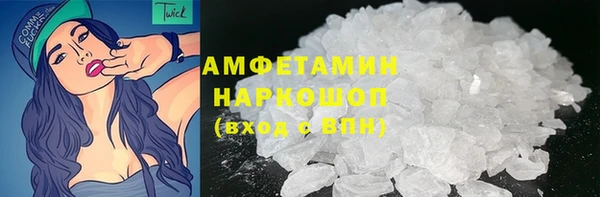 дмт Богданович
