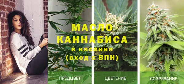 амф Саяногорск