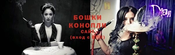 дмт Богданович