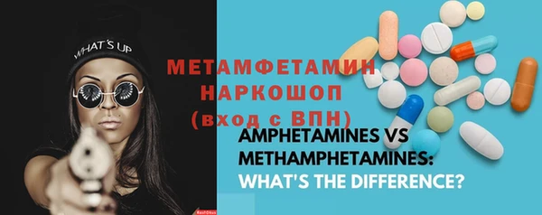 дмт Богданович