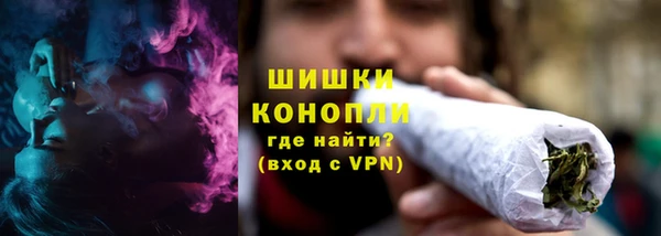 дмт Богданович