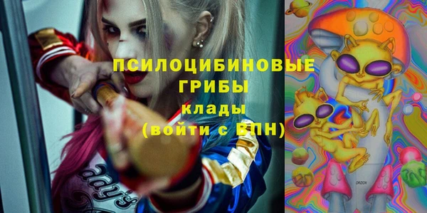 дмт Богданович