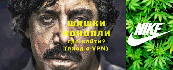 дмт Богородицк