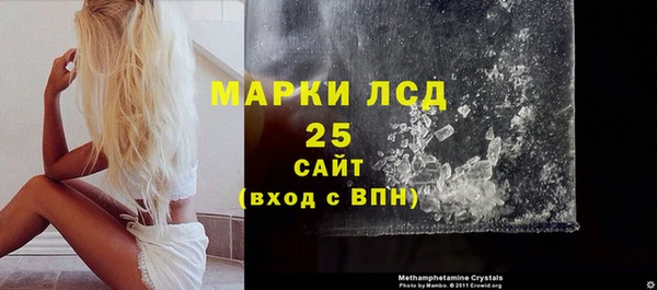 дмт Богданович