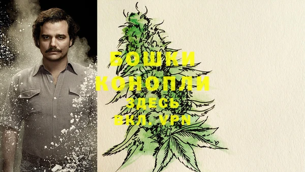 дмт Богданович